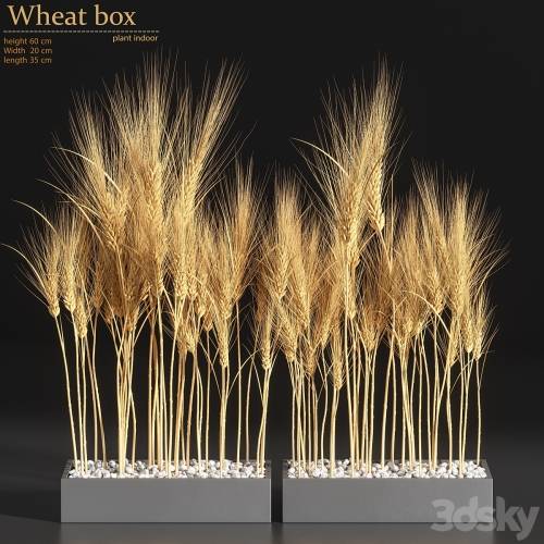 '3dsky Pro - Wheat Box' '3dsky Pro - Wheat Box'