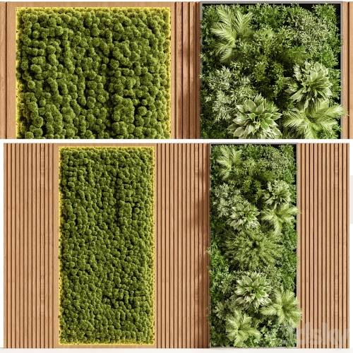 '3dsky Pro - Wooden planks and vertical garden 08' '3dsky Pro - Wooden planks and vertical garden 08'