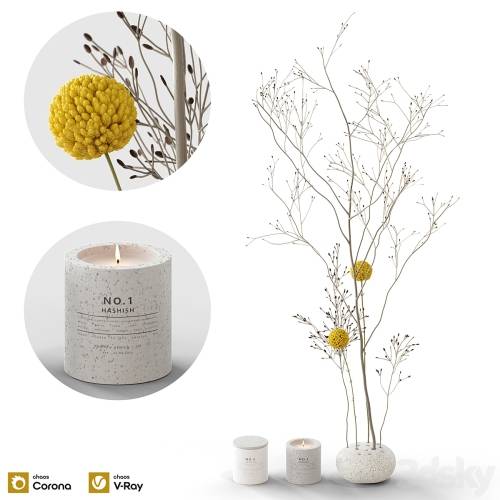'3dsky Pro - Decorative set 58 branch and candles' '3dsky Pro - Decorative set 58 branch and candles'