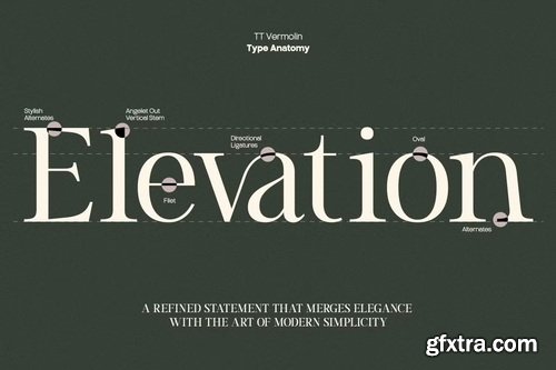 CreativeMarket - TT Vermolin Modern Classy Serif