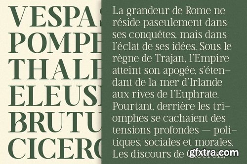 CreativeMarket - TT Vermolin Modern Classy Serif