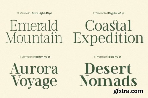 CreativeMarket - TT Vermolin Modern Classy Serif