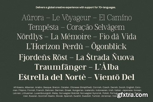 CreativeMarket - TT Vermolin Modern Classy Serif