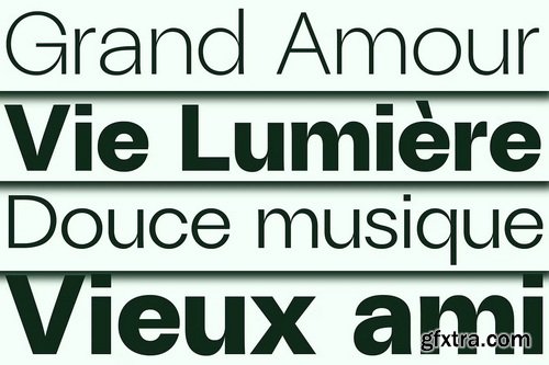 CreativeMarket - ZT Talk Sans - 80 Font