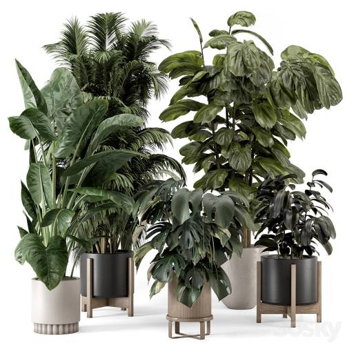 '3dsky Pro - Indoor Plants in Ferm Living Bau Pot Large - Set 1361'