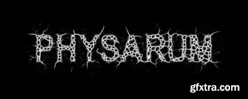 Aescripts - Physarum v1.3