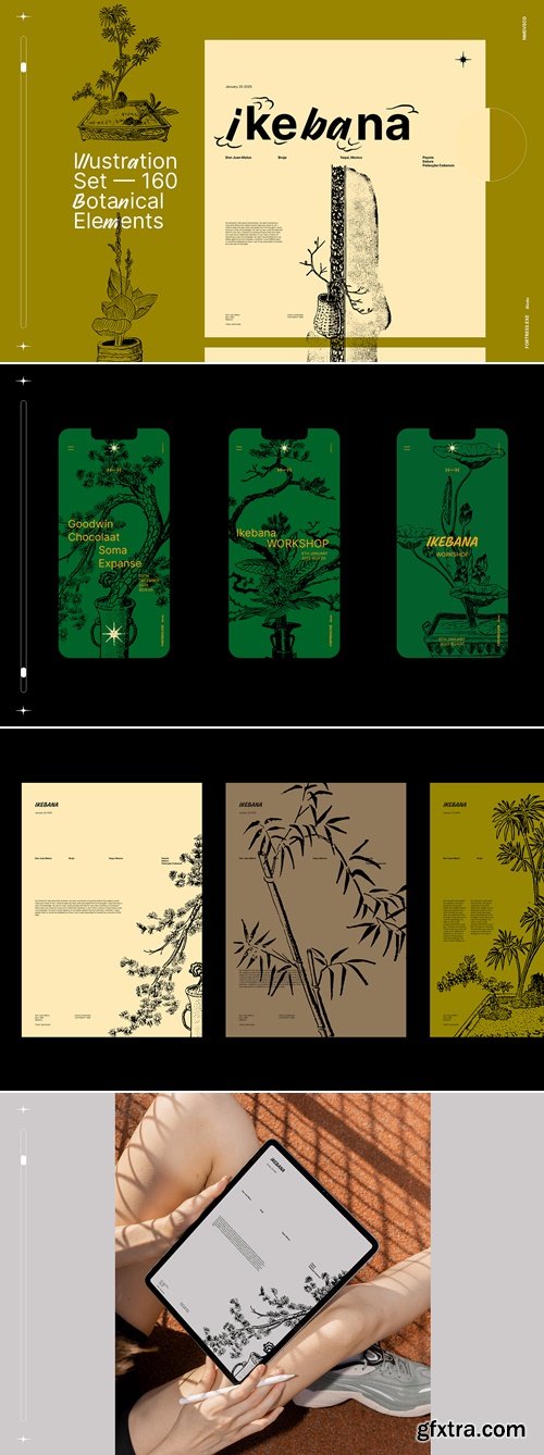 CreativeMarket - Ikebana Botanical Illustrations Set 91571751