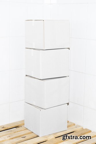 Bendito Mockup Collections Bendito Mockup Collections