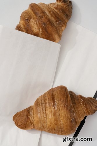 Bendito Mockup Collections Bendito Mockup Collections