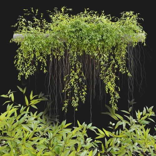 '3dsky Pro - Hanging Plant 25' '3dsky Pro - Hanging Plant 25'