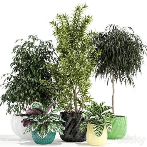 '3dsky Pro - Plants collection 111' '3dsky Pro - Plants collection 111'