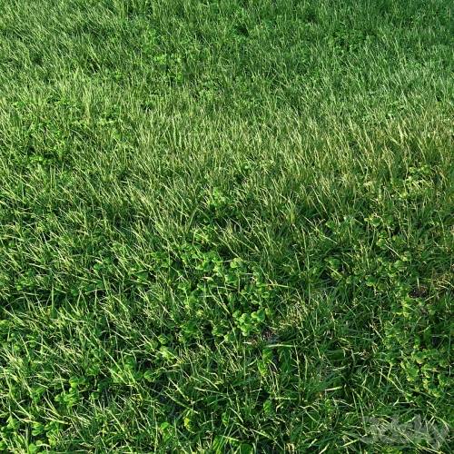 '3dsky Pro - Grass'
