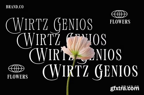 CreativeMarket - Mogokya Klektore Font