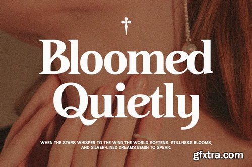 CreativeMarket - GC Neue Benfica Classic Serif