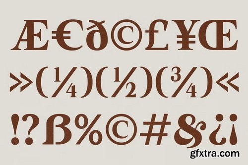 CreativeMarket - GC Neue Benfica Classic Serif