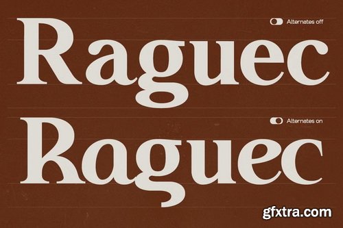 CreativeMarket - GC Neue Benfica Classic Serif