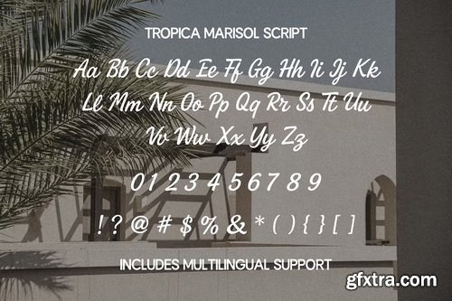 CreativeMarket - Tropica Marisol Duo Typeface