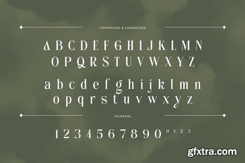 CreativeMarket - Anchika Elegant Ligature Serif