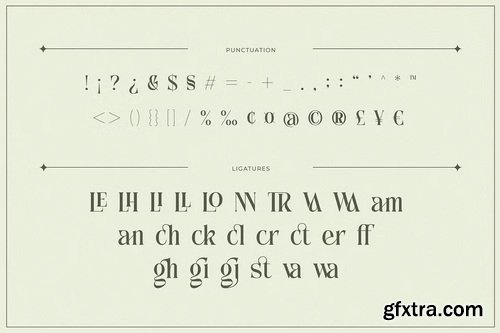 CreativeMarket - Anchika Elegant Ligature Serif