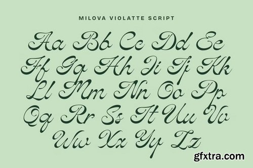 CreativeMarket - Milova Violatte A Charming Font Duo