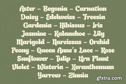 CreativeMarket - Rockout - Modern Groovy Font