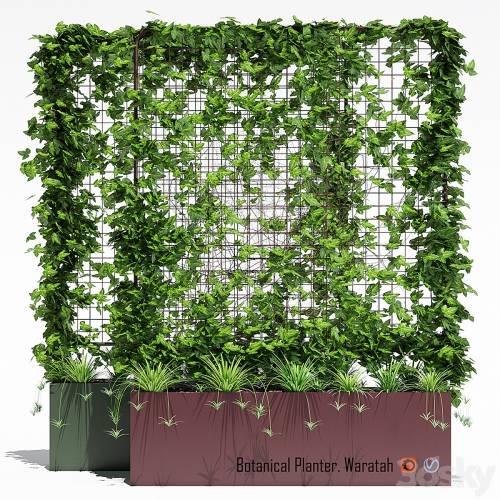 '3dsky Pro - Waratah' '3dsky Pro - Waratah'