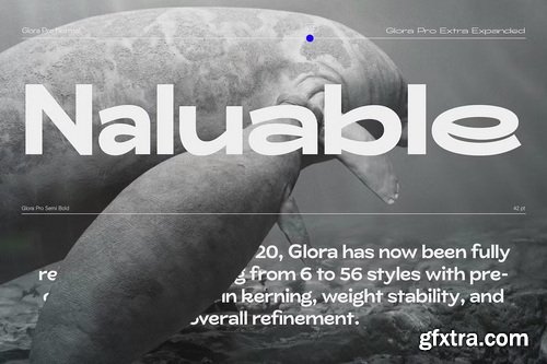 CreativeMarket - ZT Glora Pro Variable 56 Fonts