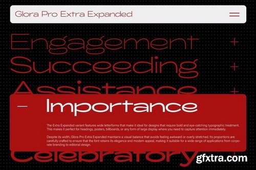 CreativeMarket - ZT Glora Pro Variable 56 Fonts