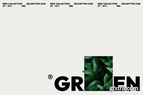 CreativeMarket - ZT Mostion Font