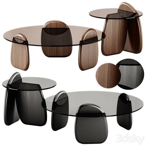 '3dsky Pro - Shark Coffee Tables set by Roche Bobois'