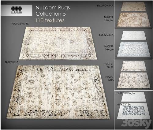 '3dsky Pro - Nuloom rugs5'