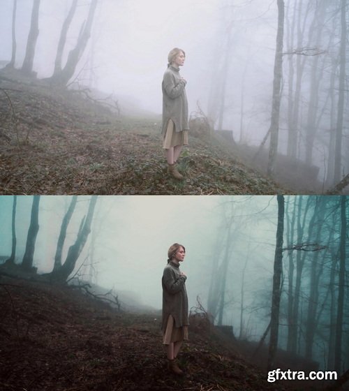 Colorwheelstore - Combo Lut Cinematic Pack