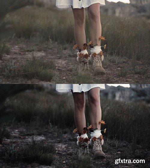 Colorwheelstore - Combo Lut Cinematic Pack