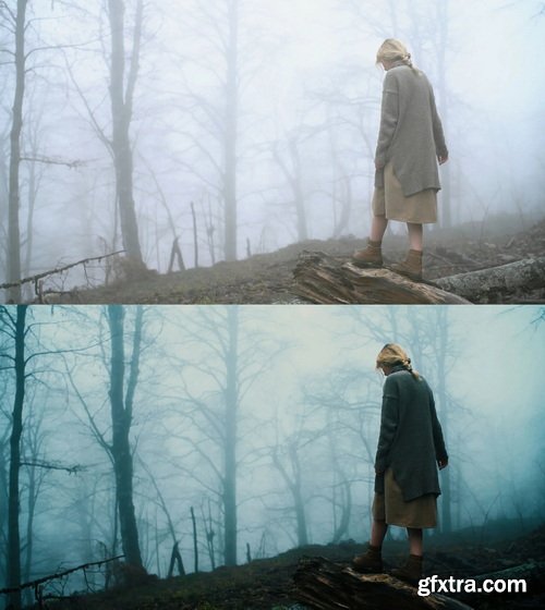 Colorwheelstore - Combo Lut Cinematic Pack