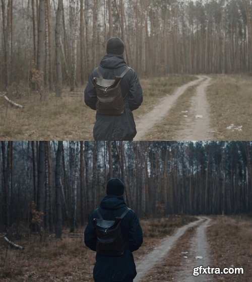 Colorwheelstore - Combo Lut Cinematic Pack