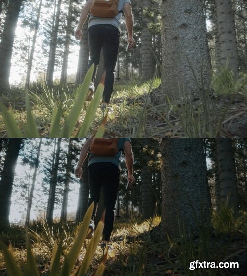 Colorwheelstore - Combo Lut Cinematic Pack