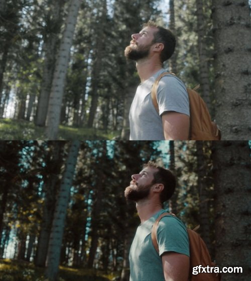 Colorwheelstore - Combo Lut Cinematic Pack