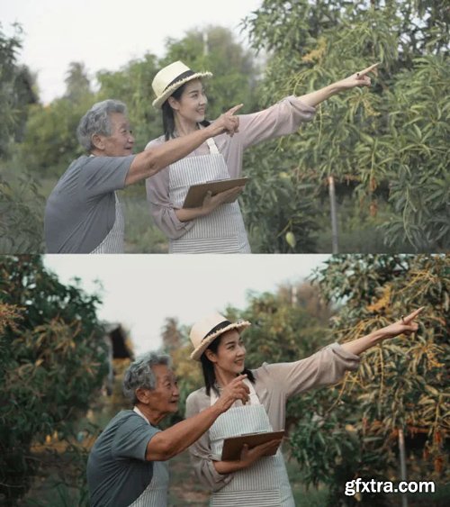 Colorwheelstore - Combo Movie Lut Pack