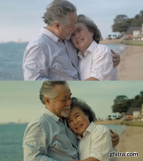 Colorwheelstore - Combo Movie Lut Pack