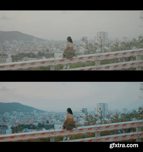 Colorwheelstore - Combo Movie Lut Pack