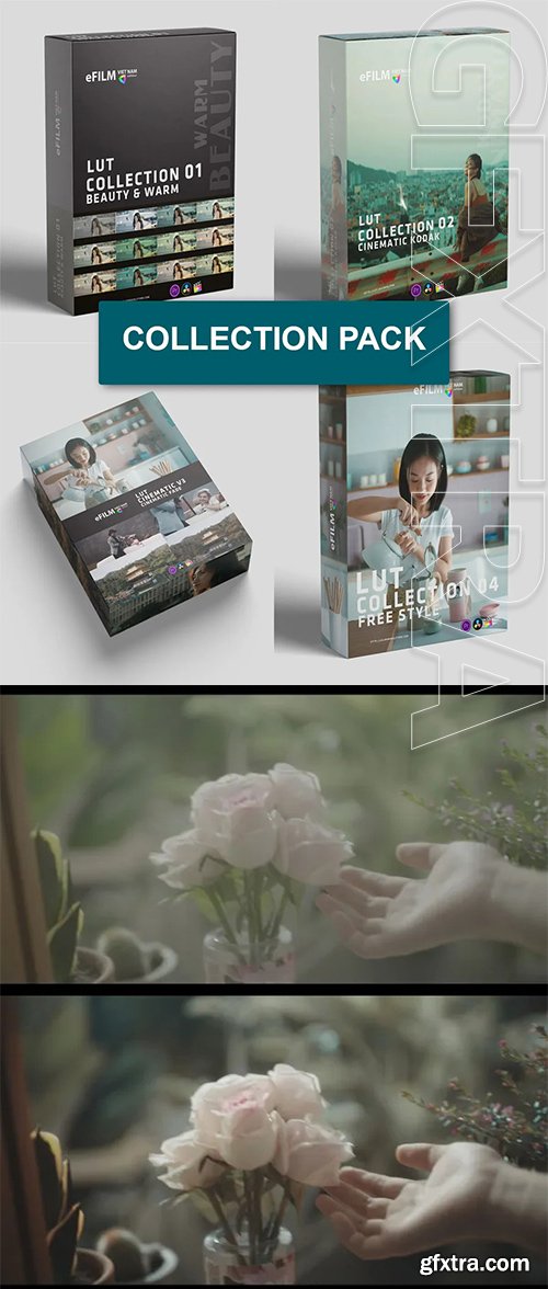 Colorwheelstore - Combo – LUT Collection Pack Colorwheelstore - Combo – LUT Collection Pack