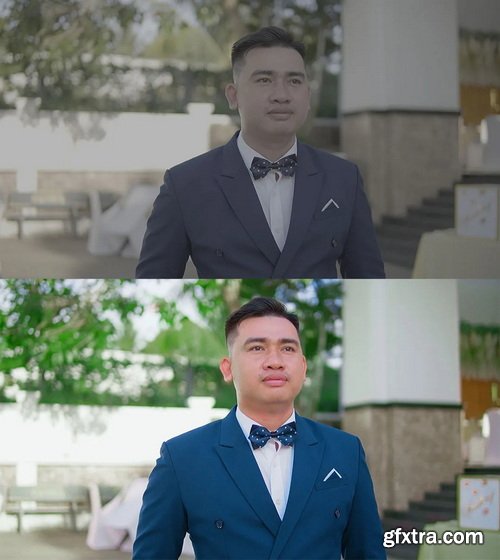 Colorwheelstore - Combo Wedding Lut Pack