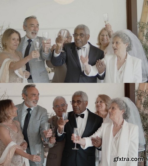 Colorwheelstore - Combo Wedding Lut Pack