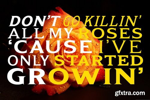 CreativeMarket - Kineks Neo-Grotesque Typeface 90 Fonts