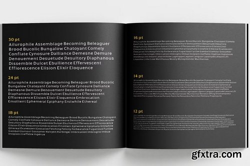 CreativeMarket - Kineks Neo-Grotesque Typeface 90 Fonts