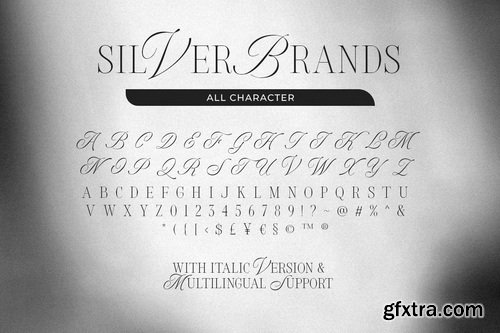 CreativeMarket - Silver Brands Elegant Mixed Serif