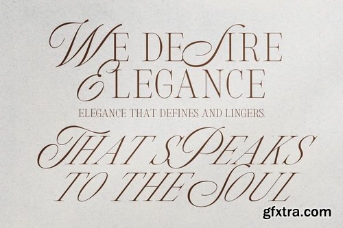 CreativeMarket - Silver Brands Elegant Mixed Serif