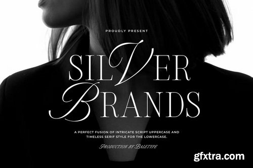 CreativeMarket - Silver Brands Elegant Mixed Serif