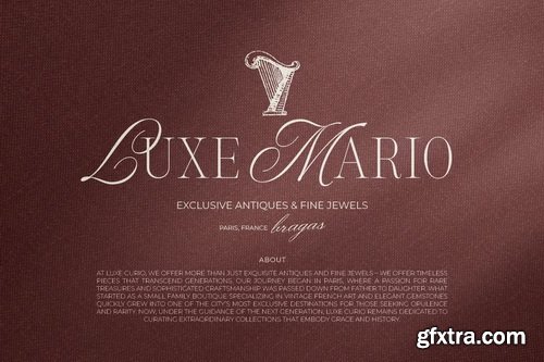 CreativeMarket - Silver Brands Elegant Mixed Serif
