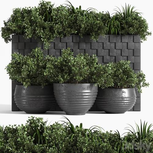 '3dsky Pro - outdoor plant collection_Box'